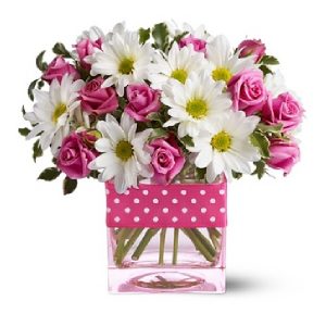 Floers, Abu Dhbai