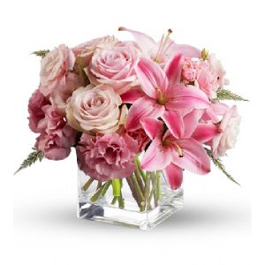 Flowers New bornbaby